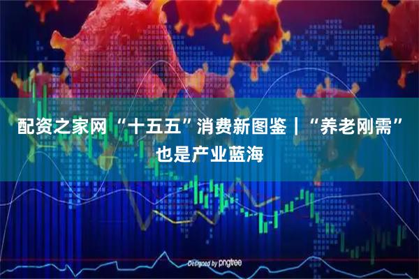 配资之家网 “十五五”消费新图鉴｜“养老刚需”也是产业蓝海